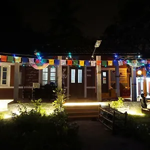 Hostel Hammock